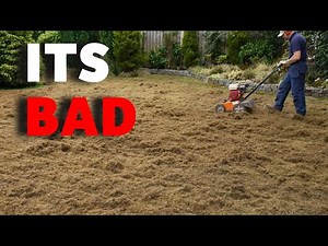 The Ultimate Fix for a Bumpy uneven Lawn full of Moss
