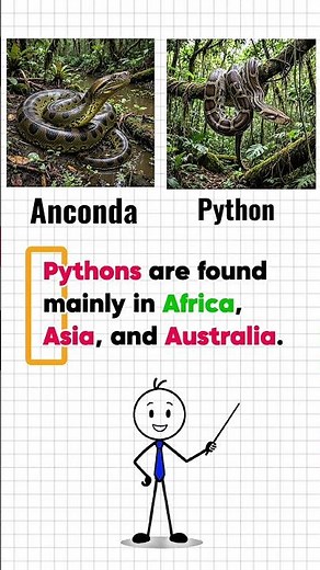 Anaconda vs. Python: The REAL Difference 🐍