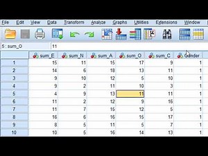 الدرس الأول للمبتدئئن نوافذ برنامج SPSS البيانات والنتائج output والأوامر Syntax والنصوص Scripts