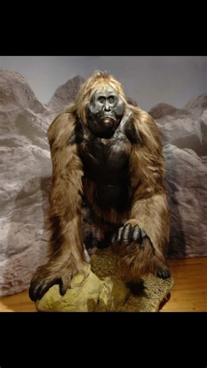 Gigantopithecus: The Prehistoric Bigfoot