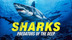 SHARKS: PREDATOR OF THE DEEP