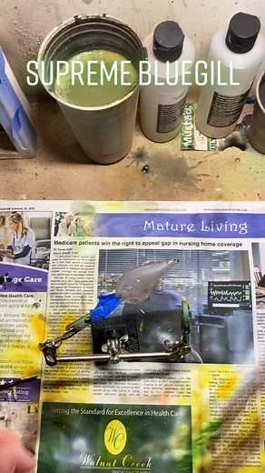 Custom Bait Maker for Ultimate Fishing Success