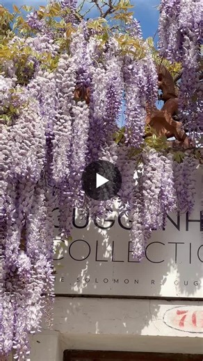 #peggyguggenheimcollection #venice | Peggy Guggenheim Collection