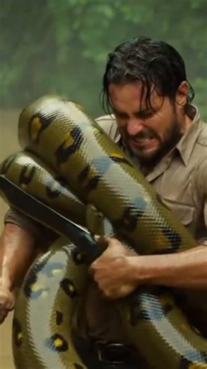 hombre pelea con tremenda anaconda