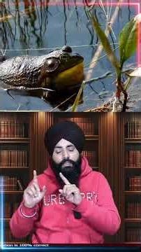 Frogs Save the Atmosphere 🐸🌍 Amazing Nature Facts#SaveNature #Biodiversity #AtmosphereBalance