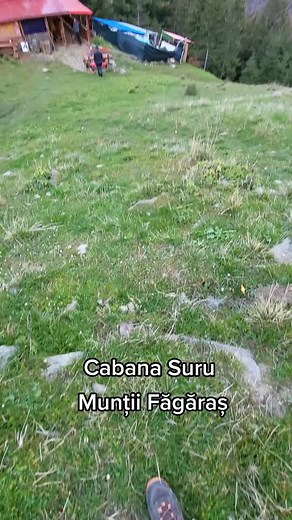 Tu ai încercat acest traseu? Cabana Suru este situată în Munții Făgăraș, pe munchia Moașei, la altitudinea de 1450m. Este primul loc de popas în parcurgerea Crestei Făgărașului de la vest la est. Durată traseu: Valea Avrigului-4h; Vârful Suru - 2-2.5h; Lacul Avrig - 3.5-4h.