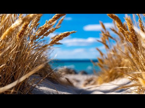 Coastal Backyard Vibes : How to Landscape Your Outdoor Space with Beach-Inspired Style .