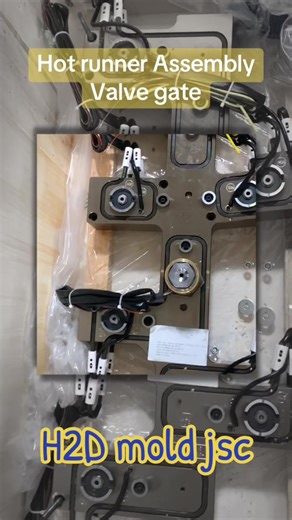 Hot runner Assembly 👌 #h2dmold #xuhuong #design #moldplastic #assembly