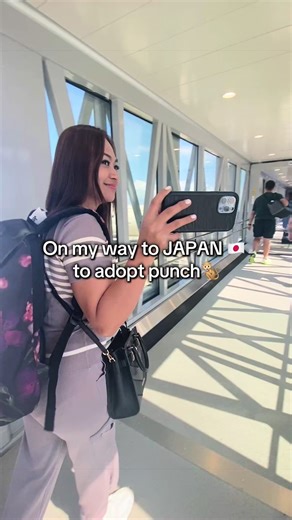 Get Ready to Meet Punch the Monkey in Japan!