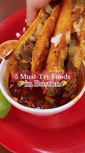 Some of my fav places in & around Boston in no particular order! More details can be found on my insta sacha.eats 🌮 #bostonfoodies #bostonfoodie #massachusettscheck #bostontiktok
