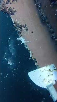 Pourquoi faut-il nettoyer la coque d’un bateau ? Les bernacles cachent bien des dangers…