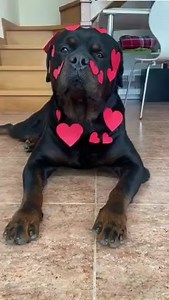 326K views · 10K reactions | Όλοι τον φοβούνται στο δρόμο. Η μαμά...