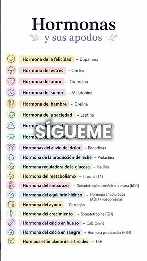 🧠 Hormonas y sus apodos: guía rápida del sistema endocrino