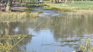 17M views · 12K reactions | I have never seen this machine before. Look at all the golf balls it picks up! | Peter Busch | Facebook