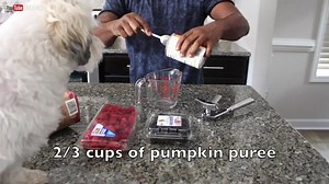 2.6M views · 41K reactions | How to cook for your dog ... | Alonzo Lerone | Facebook