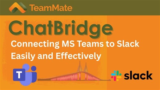 TeamMate ChatBridge | Michael Hudlow