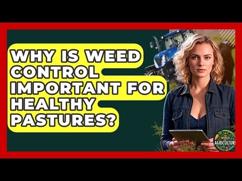 Why Is Weed Control Important For Healthy Pastures? - The World of Agriculture