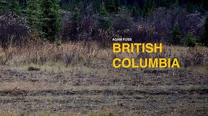 1.4K views | Mathews Archery 2021 Proving Grounds You can find the full line of Mathews Bows and Accessories in our Bastrop Louisiana store or view them online 24/7 at www.simmonssportinggoods.com (All Bow Sales Are Done In Store Only) | Simmons Sporting Goods | Facebook