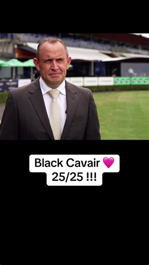 Celebrating Black Caviar: The Epitome of Racing Excellence