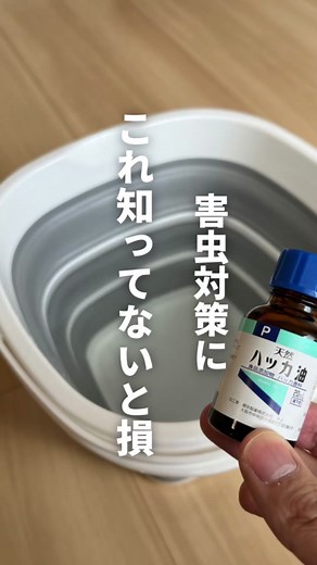 【害虫対策にこれ知ってない損！】 #害虫 #害虫対策 #G対策 #ハッカ油