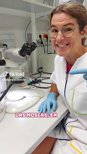 Descubre cuántos ojos tienen las moscas