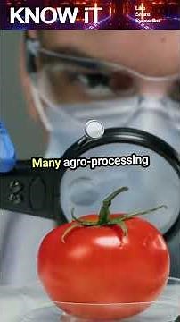 10 Incredible Facts About Agro-Processing Engineering | KNOW iT