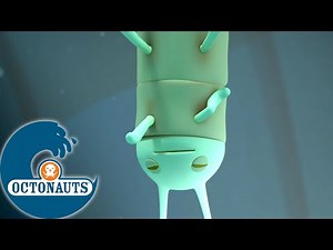 Octonauts - Les Remipèdes | Dessins animés pour enfants
