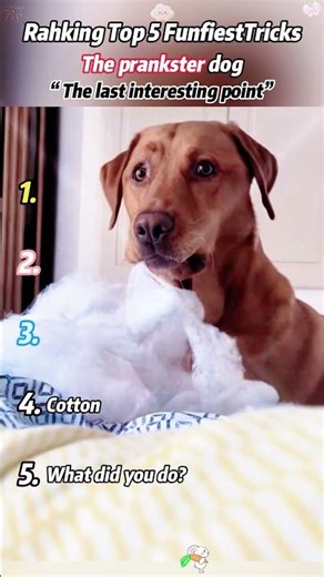 #studytips #DIY #asmr#school#famliy #luffyedit #funny #comedy#humor #unitedkingdom #anime