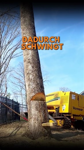 Ist diese Baumfälltechnik effektiv?