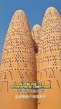 What Is a Pigeon Tower?🕊 Traditional Dovecote History | Shénme shì gēzi tǎ?🕊Chuántǒng gēshè de lìshǐ