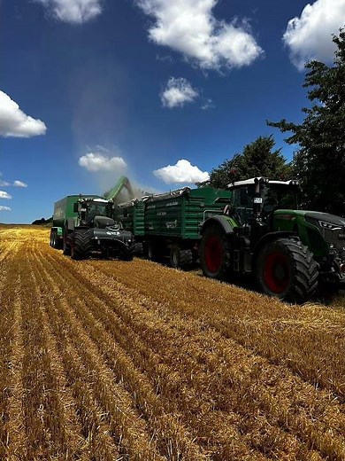 8 Hintergrundbilder ￼#landwirtschaft