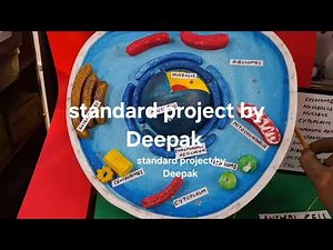 Animal cell working Model #animalcell #biologymodel #schoolproject #scienceexhibitionmodel #besttlm