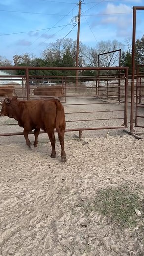 7.3K views | Brandon Fields on Reels | Facebook