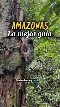 La mejor guía para visitar LETICIA COLOMBIA - Amazonas Colombiano Agencia de viajes Amazonas Go