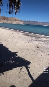 My Van Life Story 💛 | Divine On The Road