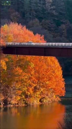 Japan Autumn Foliage 🇯🇵🍁 | Best Time to Visit Japan 2026 | Kyoto, Tokyo Fall Colors