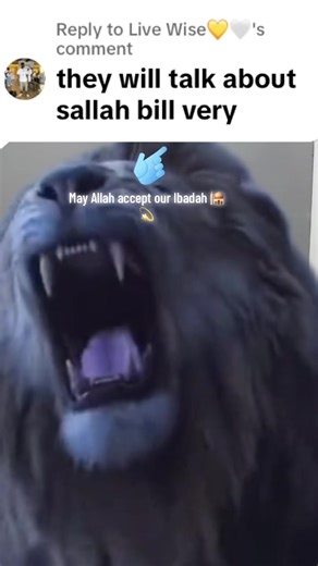 Exploring Mobile Services in Accra's Zongo Community