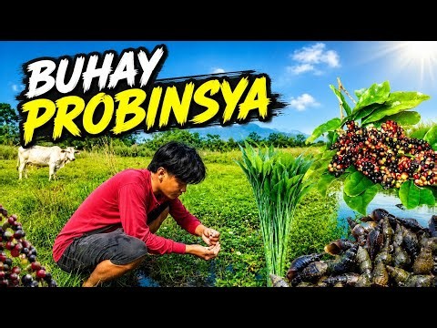 Isang Araw ng Panghahanap at Pagluluto sa Probinsya