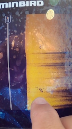 This is what you want to find on side imaging to load the boat with crappie right now! #kidkrappie #bnmpoles #facebookviral #facebookreel #livescope #tips #may #crappie #summer2025 #followme #humminbirdelectronics | KidKrappie