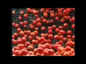 Woolworths Australia Tv Ad 2