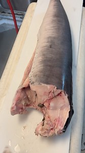 49K views · 402 reactions | My favorite way to eat swordfish: Cast iron pan in pork fat with generous salt and pepper like a steak. What’s your favorite!? | Reed_thefishmonger | Facebook