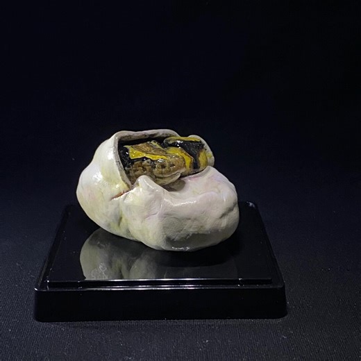 Ball Python Sculpture Art, Realistic Snake Statue, Handmade Reptile Collectible, Gothic Home Decor - Etsy