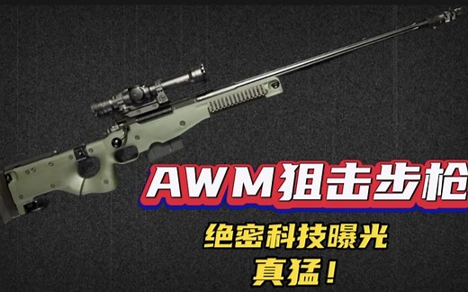 AWM狙击步枪内部构造揭秘！绝密科技曝光，1500米精准射程惊人！巅峰战场利器