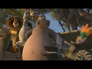 Gloria The Hippo gets Stuck | Madagascar 2