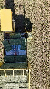 84K views · 801 reactions | Neat view. #farmer #FarmLife #tractor #farming | Bales Hay Sales | Facebook