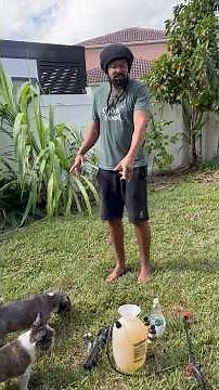 🚫🐍A natural snake repellent…