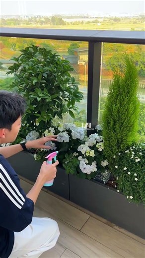 My balcony garden brings happiness all year round. #BalconyGarden #BalconyPlants