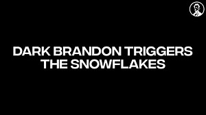 Dark Brandon: “Fascism is bad” Republicans: “I cannot believe we’re being attacked like this” | The Lincoln Project
