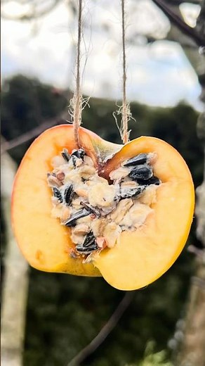 Apfel-DIY für Vögel 🍎| Vitamine & Energie im Winter