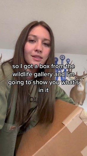Unboxing a shipment from the Wildlife Gallery (tannery) 🦌 #taxidermy #animals #axisdeer #cowhide #leatherworking #animalart #taxidermyart